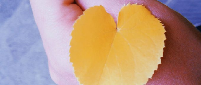 creatividad reglas para ser artista el camino julia cameron